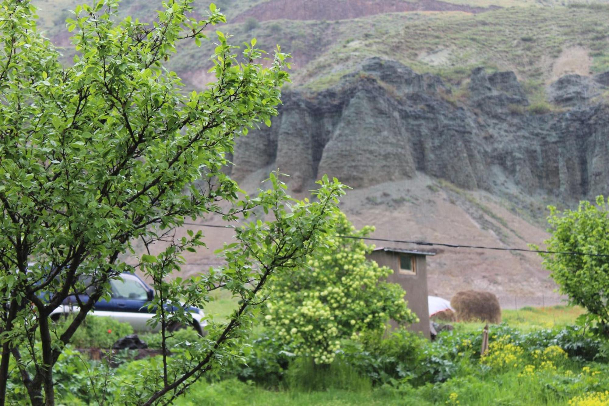 Tirebi Farmhouse Vardzia  Eksteriør bilde